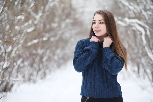 Молода Дівчина Зимовому Парку Прогулянці Різдвяні Канікули Зимовому Лісі Дівчина — стокове фото