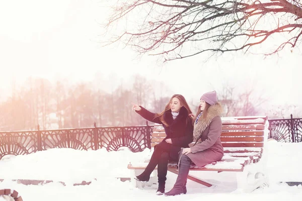 Een Jong Meisje Een Winterpark Een Wandeling Kerstvakantie Het Winterbos — Stockfoto