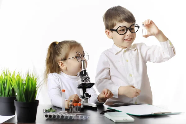 Jóvenes Científicos Químicos Orientación Vocacional Infantil Elección Profesión Médico Asistente —  Fotos de Stock