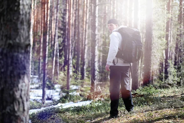 Uomo Turista Una Pineta Con Uno Zaino Una Gita Nella — Foto Stock