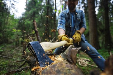 Ormanda ağaç kesen baltalı bir erkek işçi..