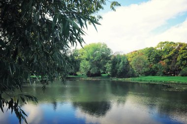 Parlak bahar, şafakta ormanda yeşilleniyor. Doğa ilkbaharın başlarında canlanır..