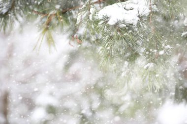 Kırsal alanların kış manzarası ve kardaki yollar