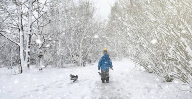 Kar altında kış parkı. Şehir parkında kar fırtınası. Bütün aileyle birlikte kar örtüsünün altında yürümek için park et.