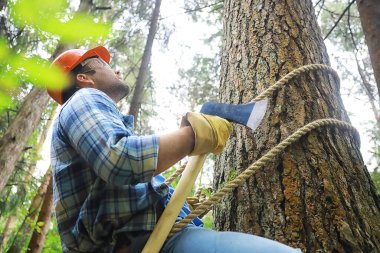 Ormanda ağaç kesen baltalı bir erkek işçi..
