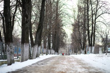Kırsal alanların kış manzarası ve kardaki yollar