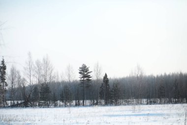 Kırsal alanların kış manzarası ve kardaki yollar