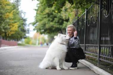 Güzel bir Kabarık köpek Samoye ile bir yürüyüşe güzel kız