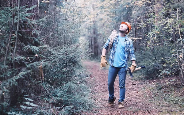 Férfi Favágó Erdőben Hivatásos Favágó Kivágásra Szánt Fákat Vizsgál — Stock Fotó