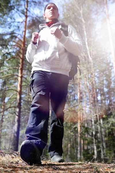 Člověk Jako Turista Borovém Lese Batohem Pěší Výlet Lese Borovice — Stock fotografie
