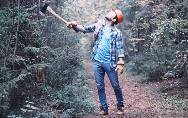 Leñador Macho Bosque Leñador Profesional Inspecciona Árboles Para Tala —  Fotos de Stock