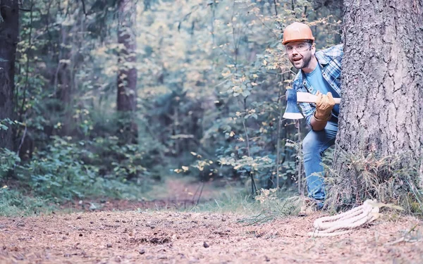 Muž Dřevorubec Lese Profesionální Dřevorubec Kontroluje Kácení Stromů — Stock fotografie