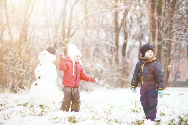 Kışın Parktaki Çocuklar Sno Ile Oynarlar — Stok fotoğraf