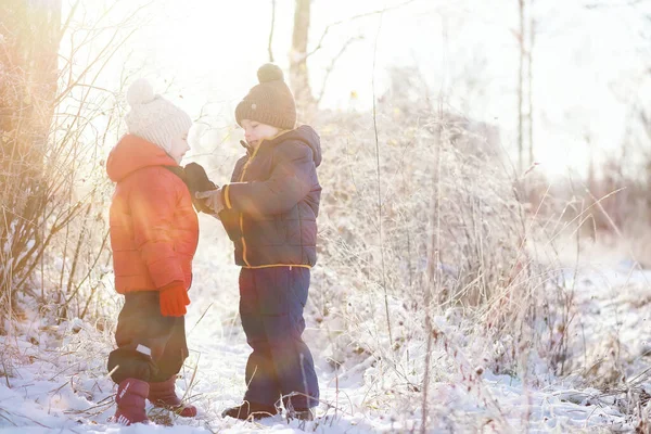 Crianças Parque Inverno Brincam Com Sno — Fotografia de Stock