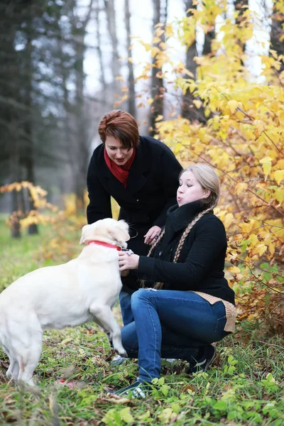 Tonårstjej Med Mamma Hundpromenad Höstträdgården — Stockfoto