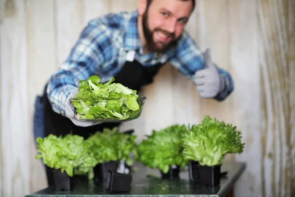 Pria Dengan Celemek Dan Sarung Tangan Memegang Semangkuk Salad Hijau — Stok Foto