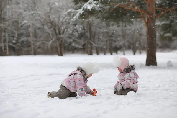 子供たちは冬に公園を歩く 散歩中の子供と冬の森の家族 寒い冬の日は家族の散歩です — ストック写真