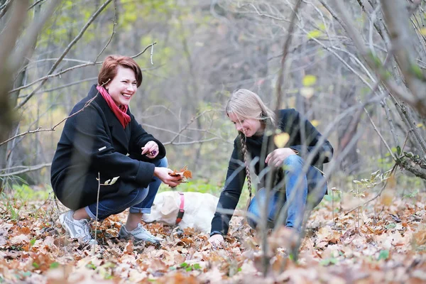 Tonårstjej Med Mamma Hundpromenad Höstträdgården — Stockfoto