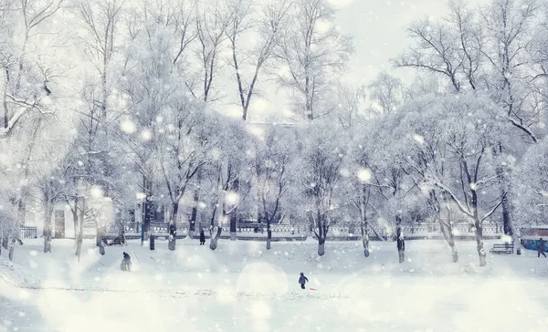 Paesaggio Forestale Invernale Alberi Alti Sotto Manto Neve Gennaio Giornata — Foto Stock