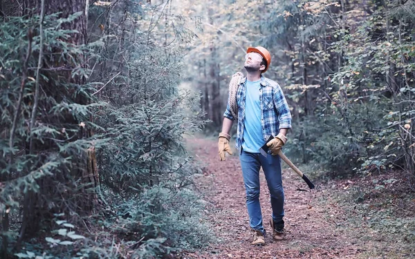 Muž Dřevorubec Lese Profesionální Dřevorubec Kontroluje Kácení Stromů — Stock fotografie