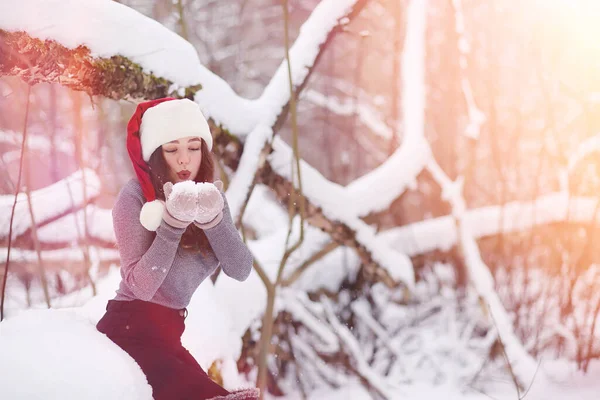 Uma Menina Parque Inverno Uma Caminhada Férias Natal Floresta Inverno — Fotografia de Stock