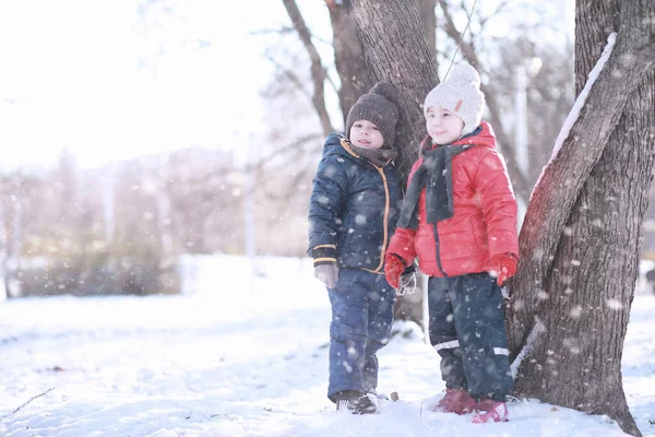 Copiii Hrănesc Păsări Parc Winte — Fotografie, imagine de stoc