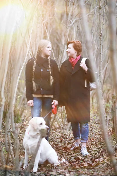 Tonårstjej Med Mamma Hundpromenad Höstträdgården — Stockfoto