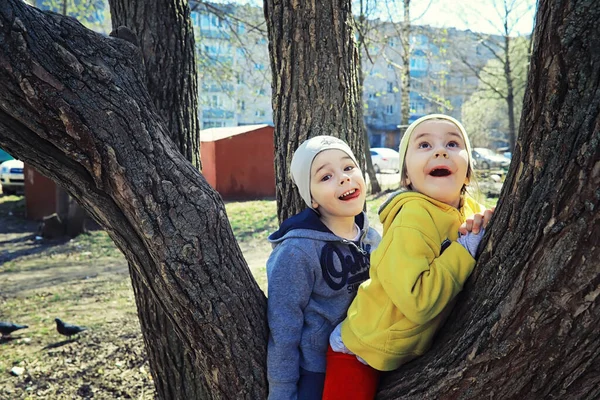 Parlak Bahar Şafakta Ormanda Yeşilleniyor Doğa Ilkbaharın Başlarında Canlanır — Stok fotoğraf