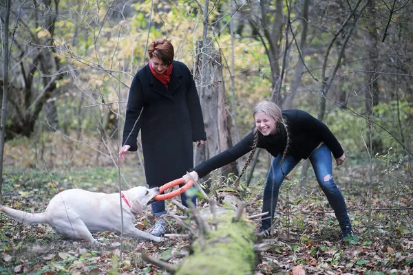 Tonårstjej Med Mamma Hundpromenad Höstträdgården — Stockfoto