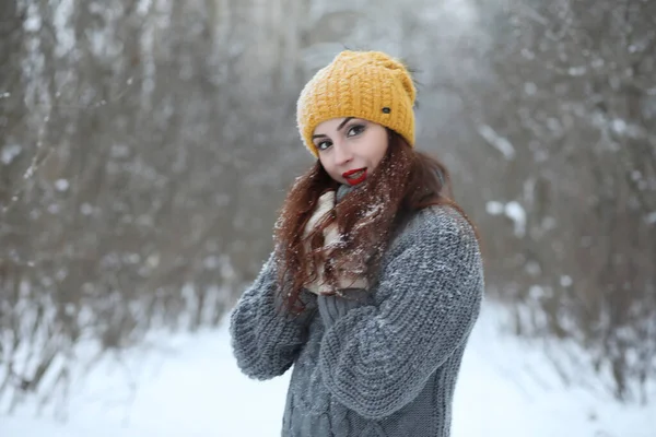 Schöne Mädchen Einem Schönen Winterpark Für Einen Spaziergang — Stockfoto