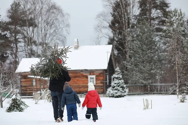 Dzieci Mężczyzna Wyciętą Choinką Pokrytej Śniegiem Ulicy Przygotowanie Nowego Roku — Zdjęcie stockowe