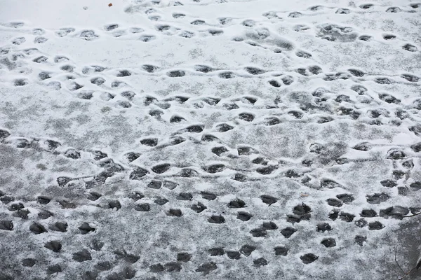 Winterlandschaft Aus Feldern Und Straßen Schnee — Stockfoto