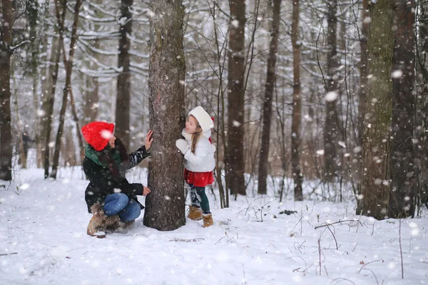 Winter fairy tale, a young mother and her daughter ride a sled in the forest. A girl on a sled with gifts on the eve of the new year in the park. Two sisters walk in a New Year\'s park and ride a sled with gifts