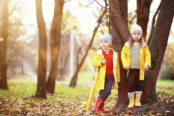 Barnen Går Höstparken Hösten — Stockfoto