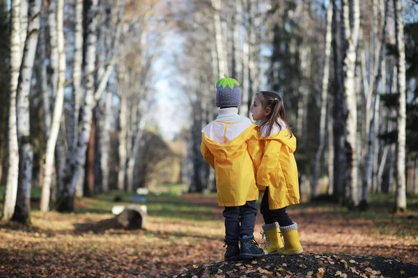 秋の紅葉公園を歩く子供たち — ストック写真