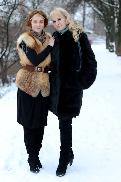 Красивые Девушки Гуляют Снежном Зимнем Парке — стоковое фото