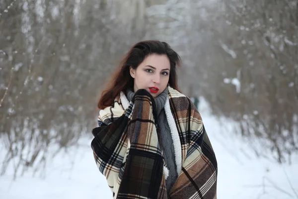 Gyönyörű Lány Egy Szép Téli Parkban Sétálni — Stock Fotó