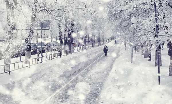 Paesaggio Forestale Invernale Alberi Alti Sotto Manto Neve Gennaio Giornata — Foto Stock