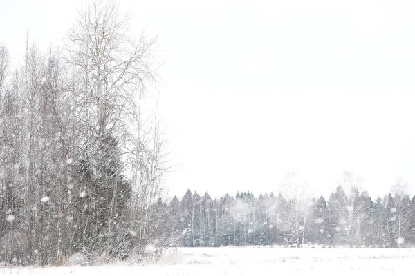 Zimowy Krajobraz Pól Wiejskich Dróg Śniegu — Zdjęcie stockowe