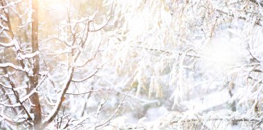 Winter Park 'ta. Karlı havada manzara manzarası. Ocak Günü.