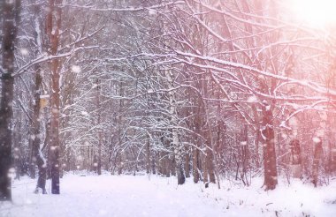 Kış masalı ve büyülü orman