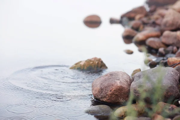 Fog Lake Morning Nature Water White Fog — Stock Photo, Image