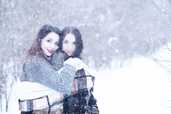 Красива Дівчина Красивий День Зимовий Сніжний Парк — стокове фото