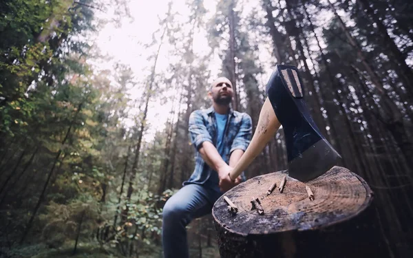 Boscaiolo Maschio Nella Foresta Taglialegna Professionista Ispeziona Gli Alberi Abbattimento — Foto Stock