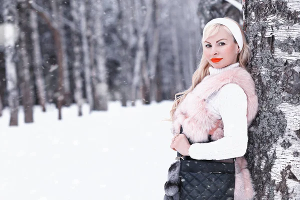Blondes Mädchen Bei Einem Spaziergang Einem Winterpark Mit Bewölktem Himmel — Stockfoto