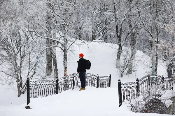Человек Пальто Пуговицей Прогулка Фоне Зимнего Пейзажа Вид Зиму — стоковое фото