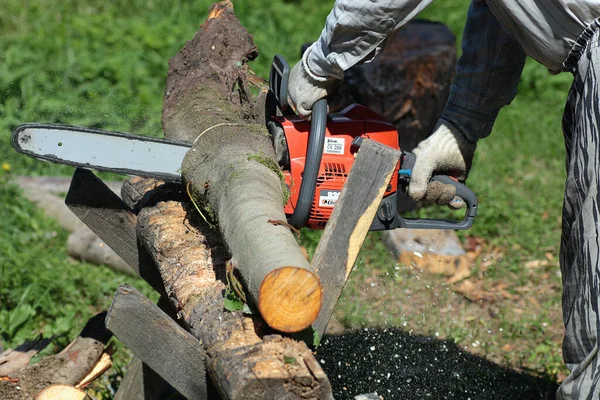 Yakacak Odun Kesmek Için Testere Yakın Görüş — Stok fotoğraf