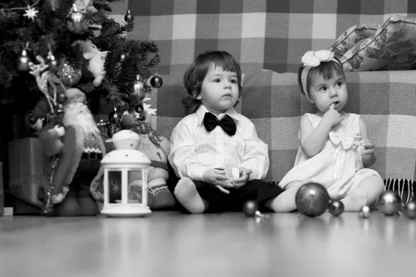 Crianças Pequenas Perto Uma Árvore Natal Antes Das Férias — Fotografia de Stock