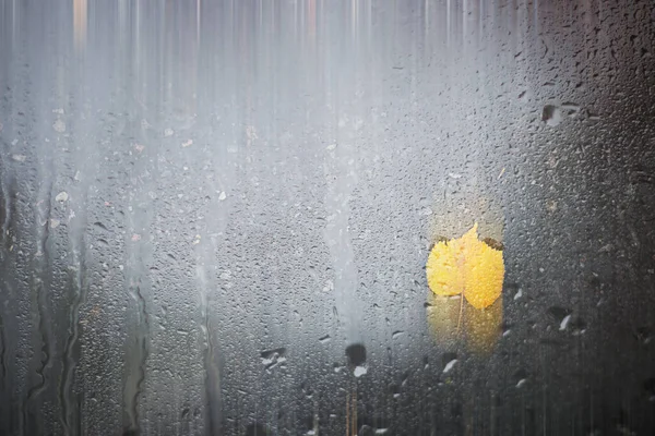 Φόντο Φθινόπωρο Βροχή Στο Πάρκο Κατά Διάρκεια Της — Φωτογραφία Αρχείου