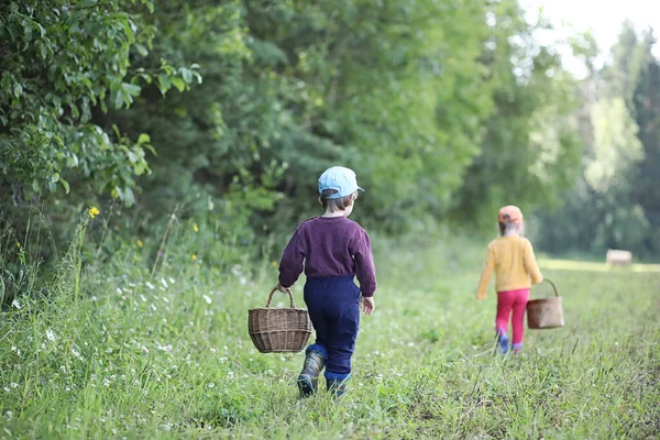 Niños Reunidos Una Caminata Bosque Más Cercano Busca Setas — Foto de Stock